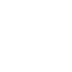 Tree-Of-Life-Aliados-200px-200px